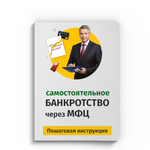 Пошаговая процедура банкротства через МФЦ в Брянске